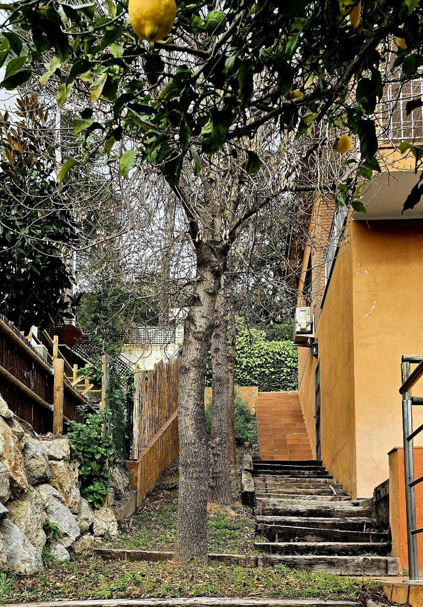 Cal Nene - Plamun Es Villa Begur Buitenkant foto